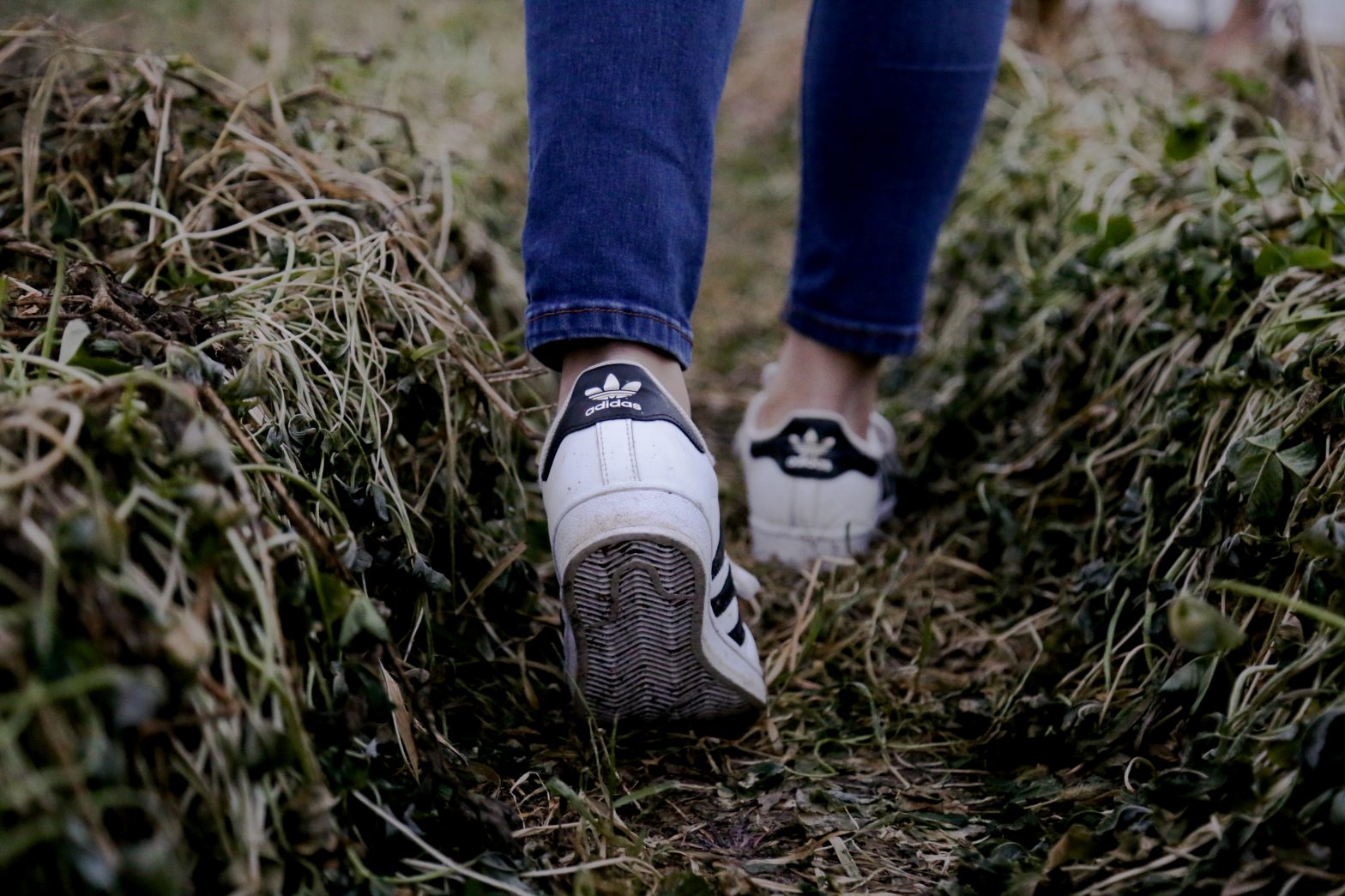 A close-up of a woman's feet as she walks away through a grassy path.